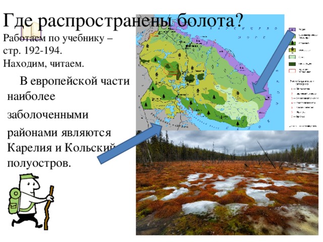 Где распространены болота?  Работаем по учебнику –  стр. 192-194.  Находим, читаем.  В европейской части наиболее заболоченными районами являются Карелия и Кольский полуостров.