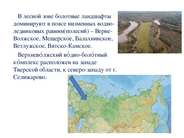 В лесной зоне болотные ландшафты доминируют в поясе низменных водно-ледниковых равнин(полесий) – Верне-Волжское, Мещерское, Балахнинское, Ветлужское, Вятско-Камское.  Верхнево́лжский во́дно-боло́тный ко́мплекс расположен на западе Тверской области, к северо-западу от г. Селижарово.