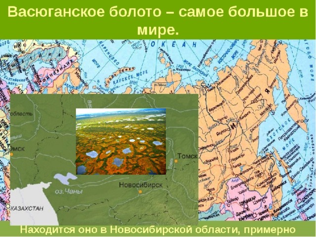 Васюганская равнина Васюганская равнина (Томская область), занимающая междуречье Оби и Иртыша, представляет одно гигантское непроходимое болото, растянувшееся на многие сотни километров.