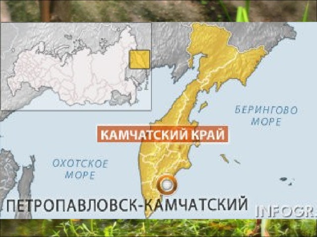 Много болот и на Дальнем Востоке. Причина – влажный муссонный климат. Рекордсменом в стране по количеству болот на единицу площади является Охотское побережье Камчатки.