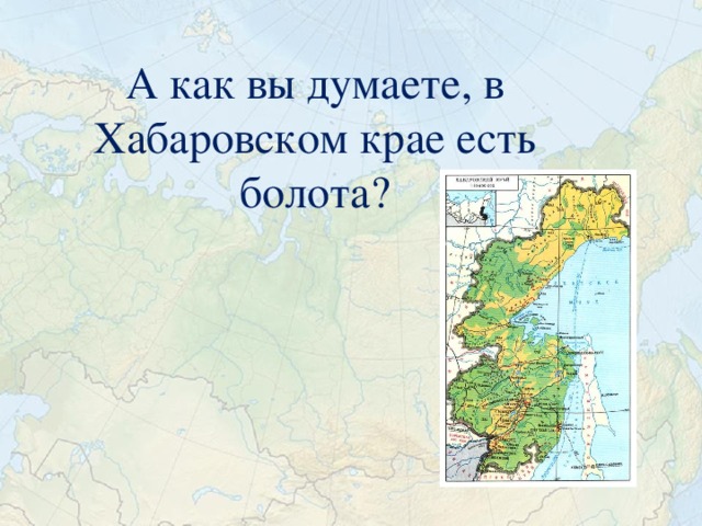 А как вы думаете, в Хабаровском крае есть болота?