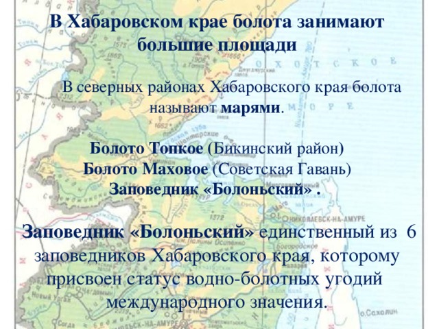 В Хабаровском крае болота занимают большие площади   В северных районах Хабаровского края болота называют марями .   Болото Топкое ( Бикинский район )  Болото Маховое (Советская Гавань)  Заповедник «Болоньский» .    Заповедник «Болоньский» единственный из 6 заповедников Хабаровского края, которому присвоен статус водно-болотных угодий международного значения.   