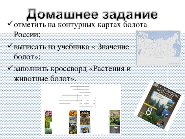 отметить на контурных картах болота России; выписать из учебника « Значение болот»; заполнить кроссворд «Растения и животные болот».