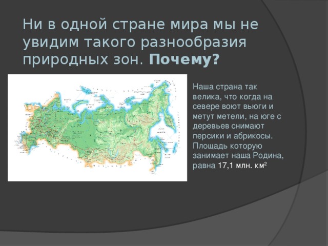 Ни в одной стране мира мы не увидим такого разнообразия природных зон. Почему? Наша страна так велика, что когда на севере воют вьюги и метут метели, на юге с деревьев снимают персики и абрикосы. Площадь которую занимает наша Родина, равна 17,1 млн. км 2