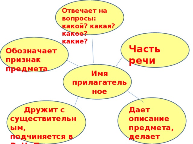 Отвечает на вопросы: какой? какая? какое? какие? Часть речи Обозначает признак предмета Имя прилагательное Дает описание предмета, делает речь красочной  Дружит с существительным, подчиняется в Р.,Ч.,П.