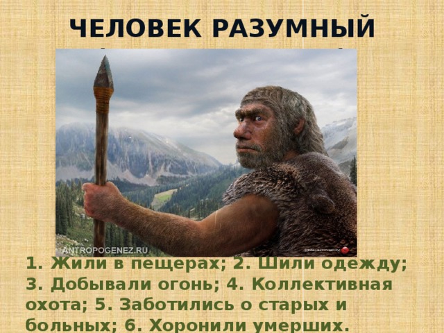 Человек разумный (неандерталец) 1. Жили в пещерах; 2. Шили одежду; 3. Добывали огонь; 4. Коллективная охота; 5. Заботились о старых и больных; 6. Хоронили умерших.