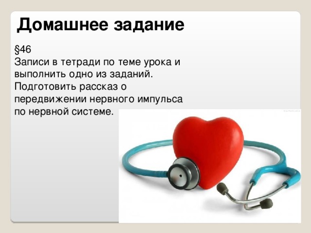 Домашнее задание § 46 Записи в тетради по теме урока и выполнить одно из заданий. Подготовить рассказ о передвижении нервного импульса по нервной системе.