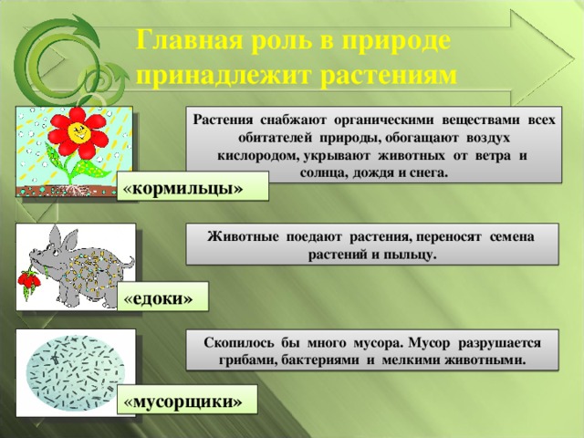 Главная роль в природе принадлежит растениям Растения снабжают органическими веществами всех обитателей природы, обогащают воздух кислородом, укрывают животных от ветра и солнца, дождя и снега. « кормильцы» Животные поедают растения, переносят семена растений и пыльцу. « едоки» Скопилось бы много мусора. Мусор разрушается грибами, бактериями и мелкими животными. « мусорщики»