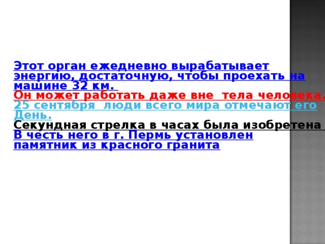 Этот орган ежедневно вырабатывает энергию, достаточную, чтобы проехать на машине 32 км.  Он может работать даже вне тела человека. 25 сентября люди всего мира отмечают его День. Секундная стрелка в часах была изобретена В честь него в г. Пермь установлен памятник из красного гранита