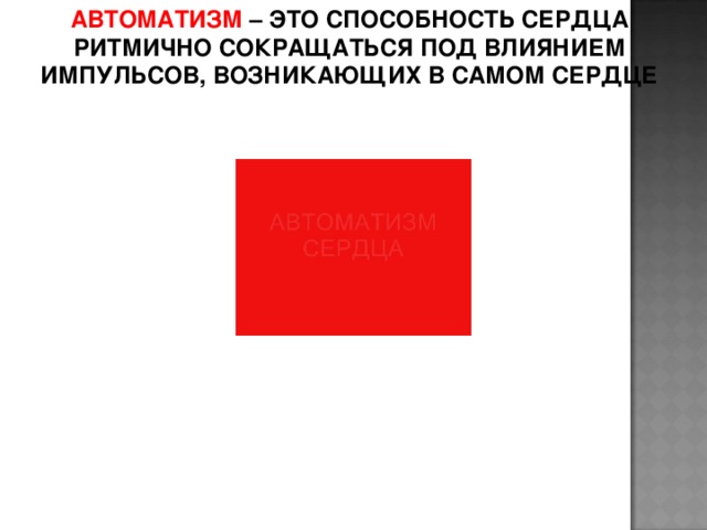 АВТОМАТИЗМ – ЭТО СПОСОБНОСТЬ СЕРДЦА РИТМИЧНО СОКРАЩАТЬСЯ ПОД ВЛИЯНИЕМ ИМПУЛЬСОВ, ВОЗНИКАЮЩИХ В САМОМ СЕРДЦЕ