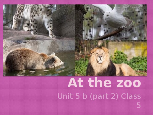 At the zoo Unit 5 b (part 2) Class 5