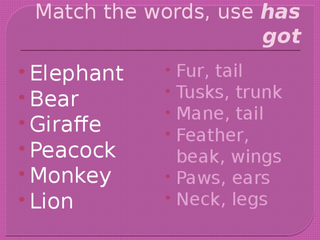Match the words, use has got