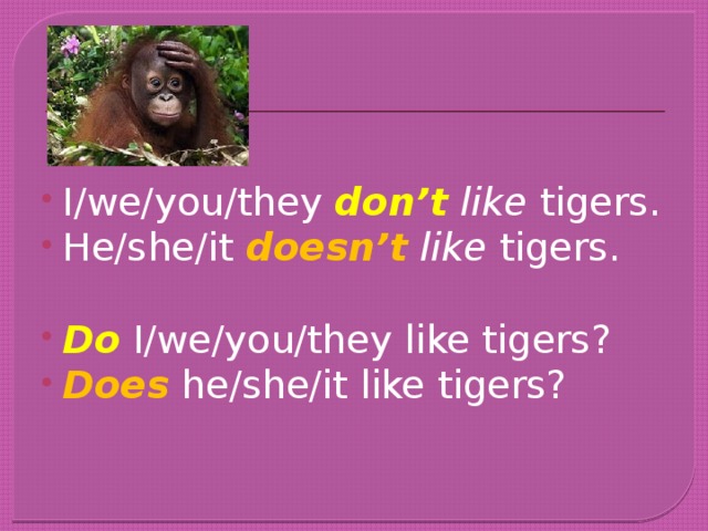 I/we/you/they don’t like tigers. He/she/it doesn’t like tigers. Do I/we/you/they like tigers? Does he/she/it like tigers?