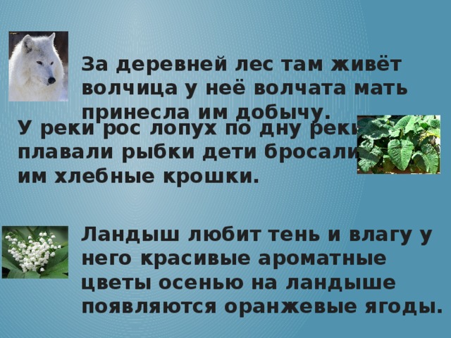 За деревней лес там живёт волчица у неё волчата мать принесла им добычу. У реки рос лопух по дну реки плавали рыбки дети бросали им хлебные крошки. Ландыш любит тень и влагу у него красивые ароматные цветы осенью на ландыше появляются оранжевые ягоды.