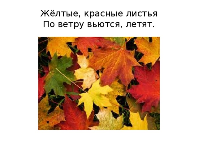 Жёлтые, красные листья  По ветру вьются, летят.