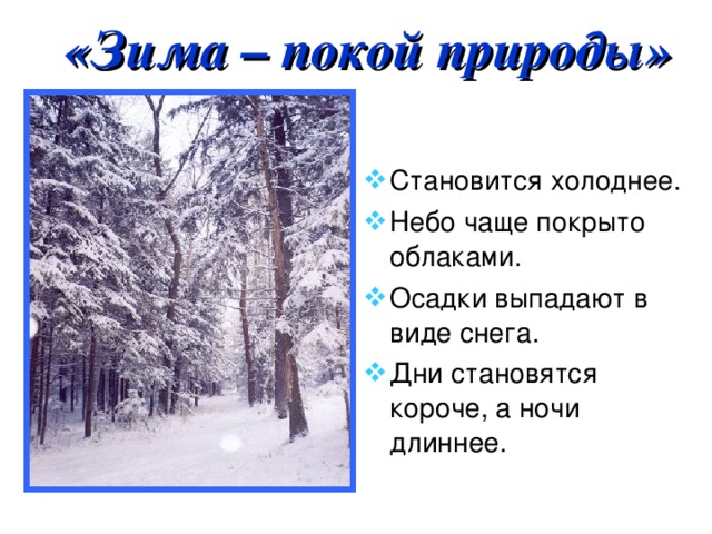 «Зима – покой природы»