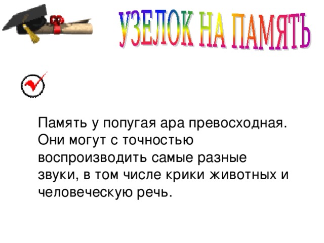 Память у попугая ара превосходная. Они могут с точностью воспроизводить самые разные звуки, в том числе крики животных и человеческую речь.