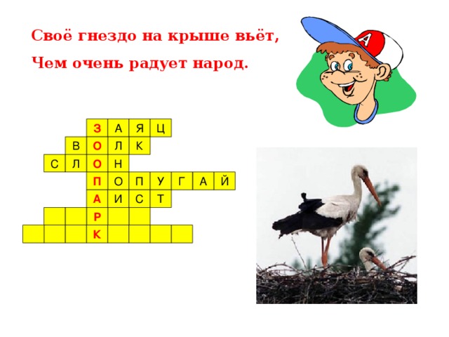 Своё гнездо на крыше вьёт, Чем очень радует народ. З О О П А Р К