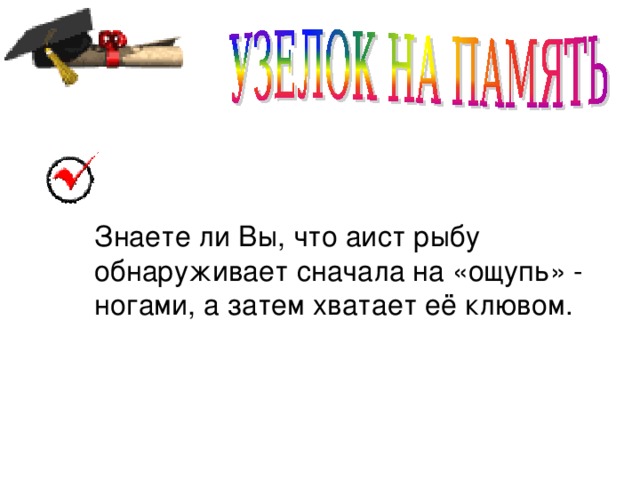 Знаете ли Вы, что аист рыбу обнаруживает сначала на «ощупь» - ногами, а затем хватает её клювом.