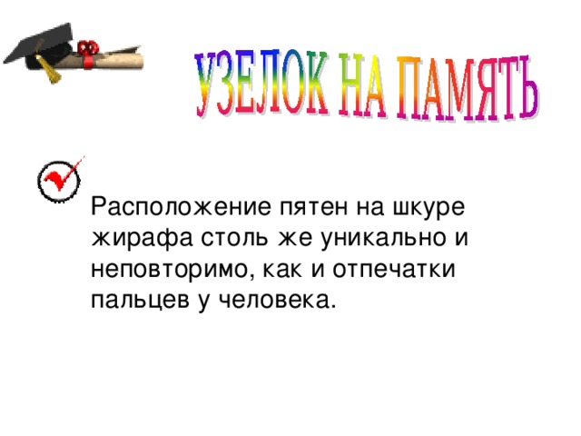 Расположение пятен на шкуре жирафа столь же уникально и неповторимо, как и отпечатки пальцев у человека.