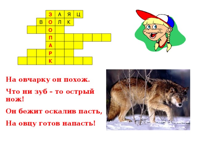 З О О П А Р К На овчарку он похож. Что ни зуб – то острый нож! Он бежит оскалив пасть, На овцу готов напасть!