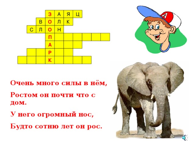 З О О П А Р К Очень много силы в нём, Ростом он почти что с дом. У него огромный нос, Будто сотню лет он рос.