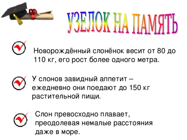 Новорождённый слонёнок весит от 80 до 110 кг, его рост более одного метра. У слонов завидный аппетит – ежедневно они поедают до 150 кг растительной пищи. Слон превосходно плавает, преодолевая немалые расстояния даже в море.