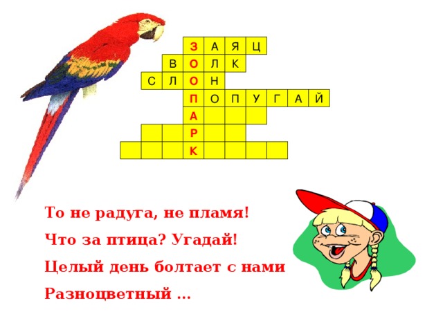 З О О П А Р К То не радуга, не пламя! Что за птица? Угадай! Целый день болтает с нами Разноцветный …