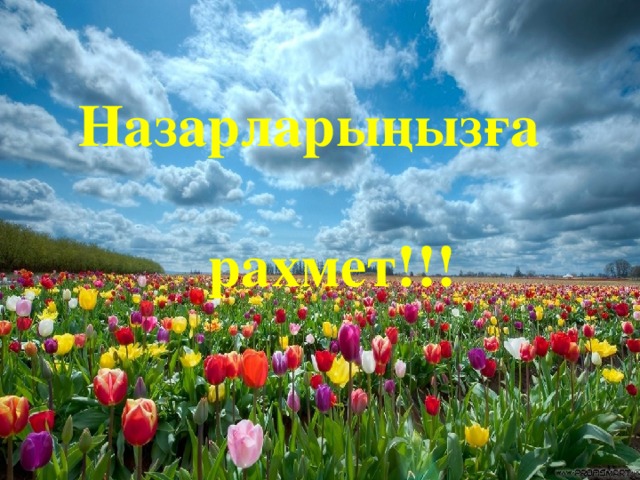 Назарларыңызға  рахмет!!!