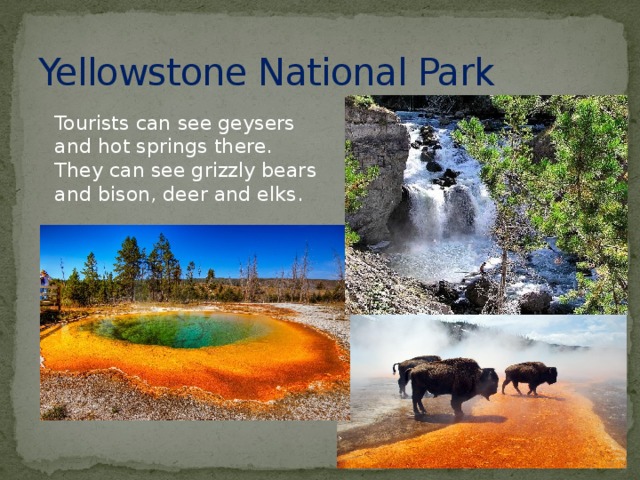 Yellowstone National Park  Tourists can see geysers and hot springs there. They can see grizzly bears and bison, deer and elks.