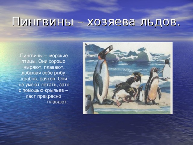 Пингвины – хозяева льдов. Пингвины – морские птицы. Они хорошо ныряют, плавают, добывая себе рыбу, крабов, рачков. Они не умеют летать, зато с помощью крыльев – ласт прекрасно  плавают.