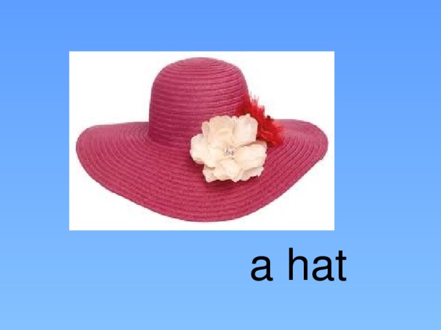 a hat