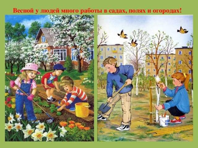 Весной у людей много работы в садах, полях и огородах!