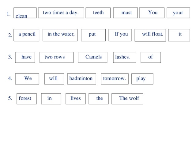 clean  two times a day.  teeth  must  You   your 1.  a pencil  in the water,  put  If you  will float.  it 2.  of lashes.  two rows  Camels  have 3. 4.   We  will badminton tomorrow.  play 5.  forest  in  lives  the  The wolf