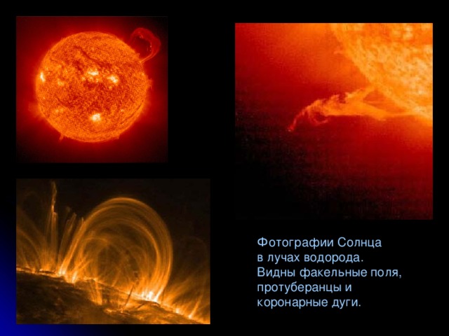 Фотографии Солнца в лучах водорода. Видны факельные поля, протуберанцы и коронарные дуги.