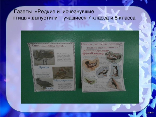 Газеты «Редкие и исчезнувшие птицы»,выпустили учащиеся 7 класса и 8 класса