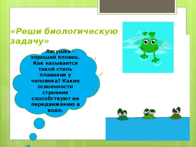 «Реши биологическую задачу»  Лягушка – хороший пловец. Как называется такой стиль плавания у человека? Какие освоенности строения способствуют ее передвижению в воде.