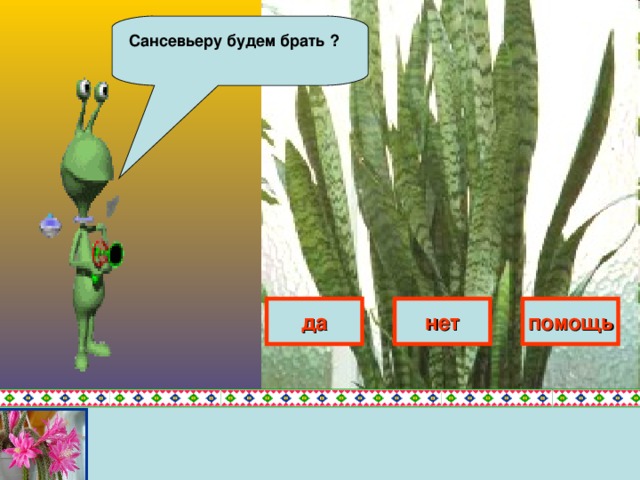 Кактус будем брать ? да нет помощь