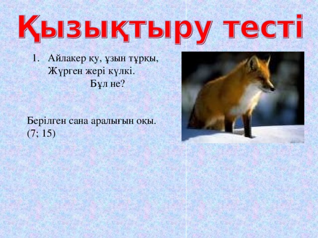 Айлакер қу, ұзын тұрқы,