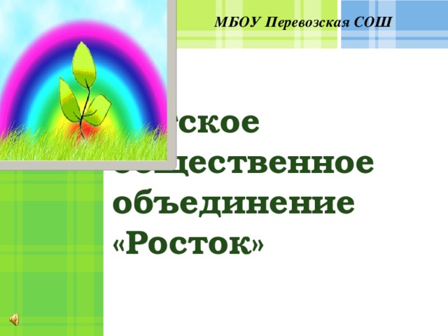 МБОУ Перевозская СОШ Детское общественное объединение «Росток»