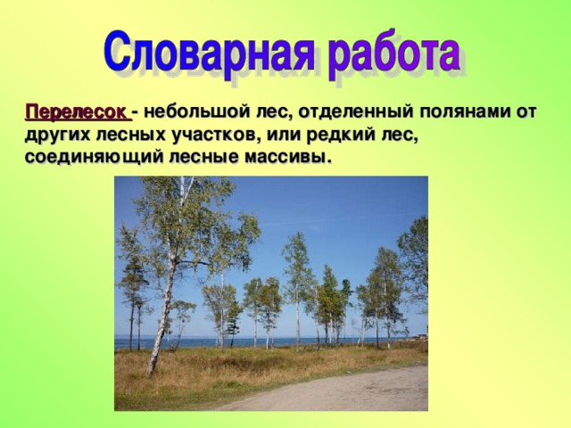 Перелесок - небольшой лес, отделенный полянами от других лесных участков, или редкий лес, соединяющий лесные массивы.