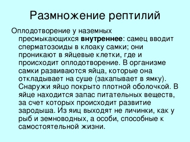 Размножение рептилий Оплодотворение у наземных пресмыкающихся  внутреннее : самец вводит сперматозоиды в клоаку самки; они проникают в яйцевые клетки, где и происходит оплодотворение. В организме самки развиваются яйца, которые она откладывает на суше (закапывает в ямку). Снаружи яйцо покрыто плотной оболочкой. В яйце находится запас питательных веществ, за счет которых происходит развитие зародыша. Из яиц выходят не личинки, как у рыб и земноводных, а особи, способные к самостоятельной жизни.