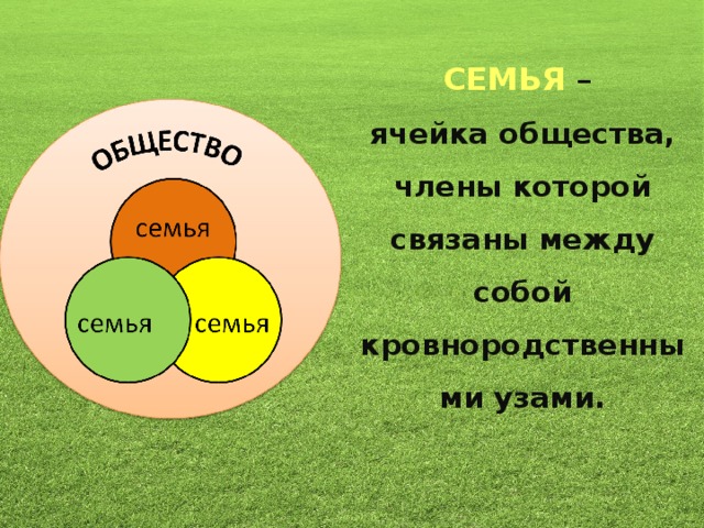 СЕМЬЯ –  ячейка общества, члены которой связаны между собой кровнородственными узами.