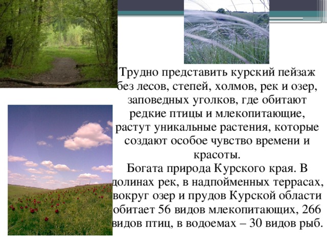 Трудно представить курский пейзаж без лесов, степей, холмов, рек и озер, заповедных уголков, где обитают редкие птицы и млекопитающие, растут уникальные растения, которые создают особое чувство времени и красоты. Богата природа Курского края. В долинах рек, в надпойменных террасах, вокруг озер и прудов Курской области обитает 56 видов млекопитающих, 266 видов птиц, в водоемах – 30 видов рыб.