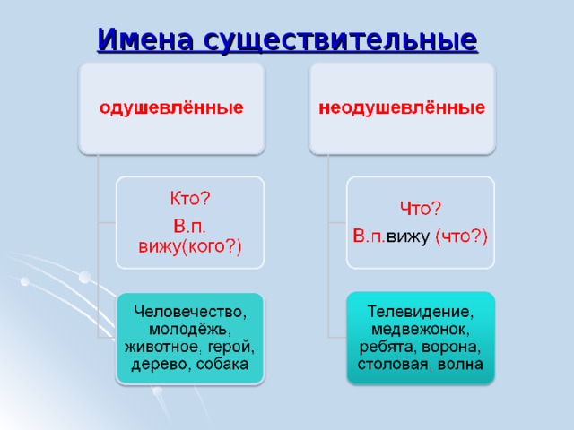 Имена существительные