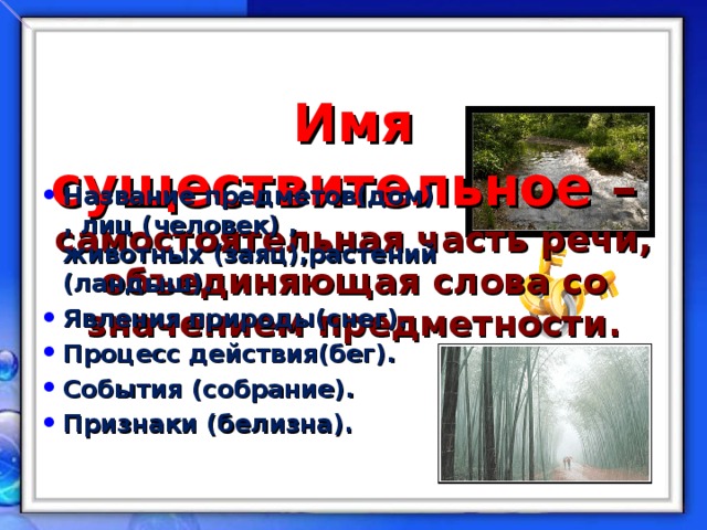 Имя существительное –  самостоятельная часть речи, объединяющая слова со значением предметности.