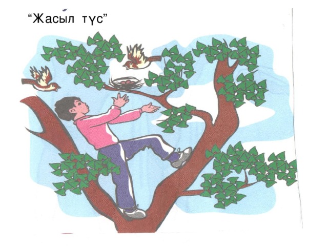 “ Жасыл түс”