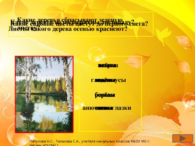 Какие деревья сбрасывают зеленую листву? Какие деревья не подвержены листопаду? Какие садовые цветы цветут до первого снега? Листья какого дерева осенью краснеют? клёны ивы астры тополя ивы гладиолусы клёны сосны берёзы розы ольха берёзы сосны ясень осины анютины глазки Папулова Н.С., Таланова С.А., учителя начальных классов МБОУ МО г. Нягань НОШ№11