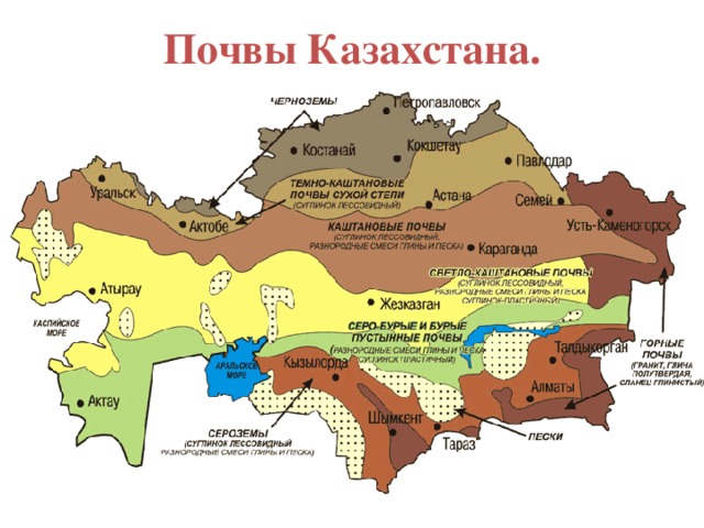 Почвы Казахстана.
