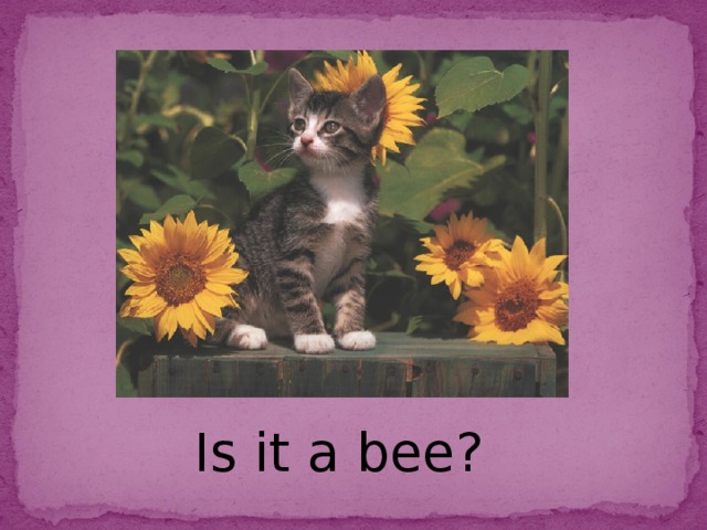 Is it a bee?
